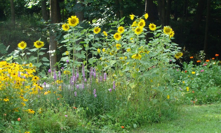 ???????????????????????????????