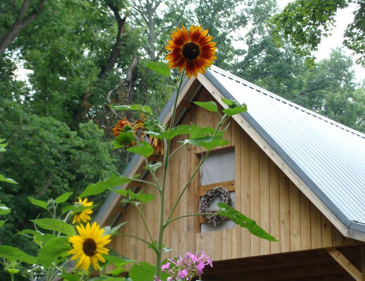 ???????????????????????????????