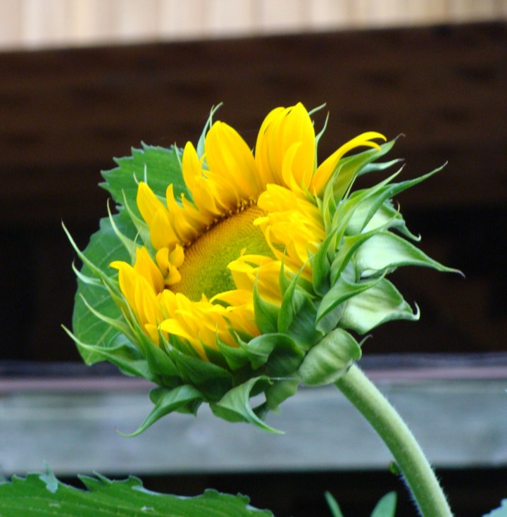 ???????????????????????????????