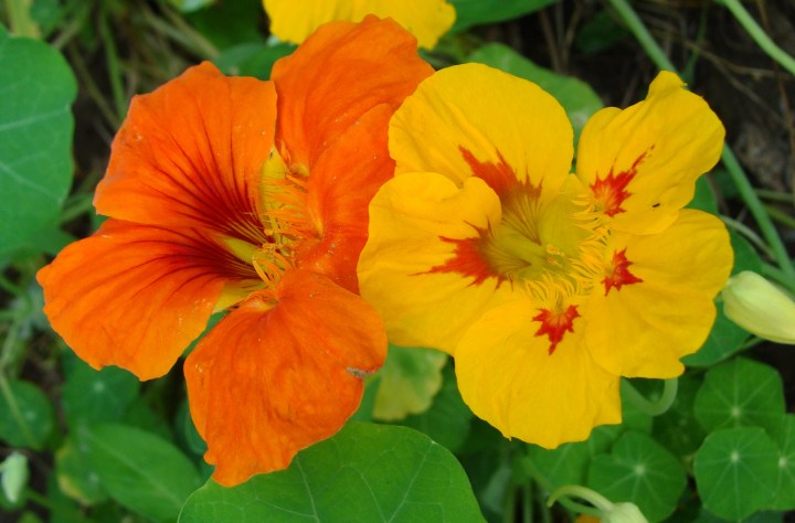 ???????????????????????????????