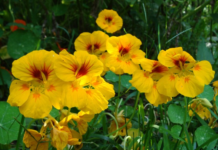 ???????????????????????????????