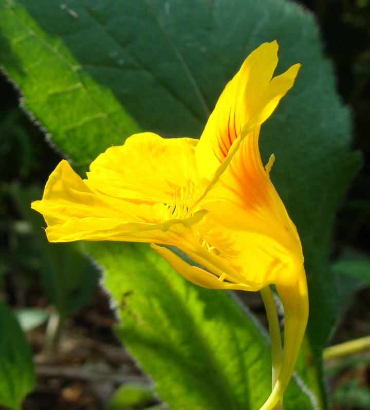 ???????????????????????????????