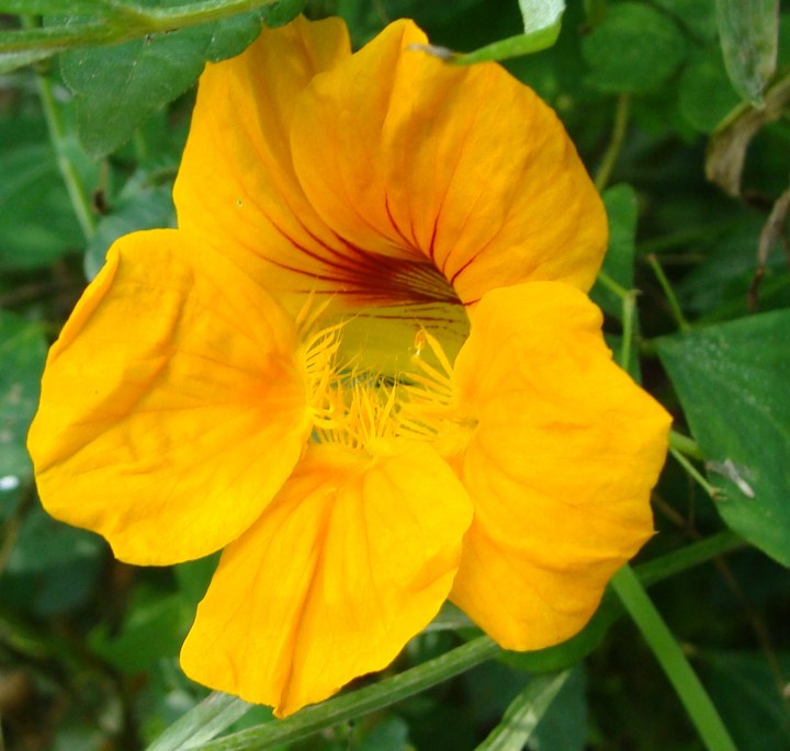 ???????????????????????????????