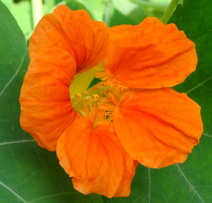 ???????????????????????????????