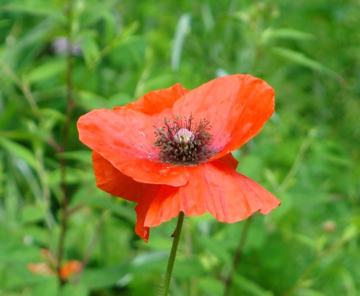 ???????????????????????????????