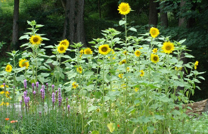 ???????????????????????????????