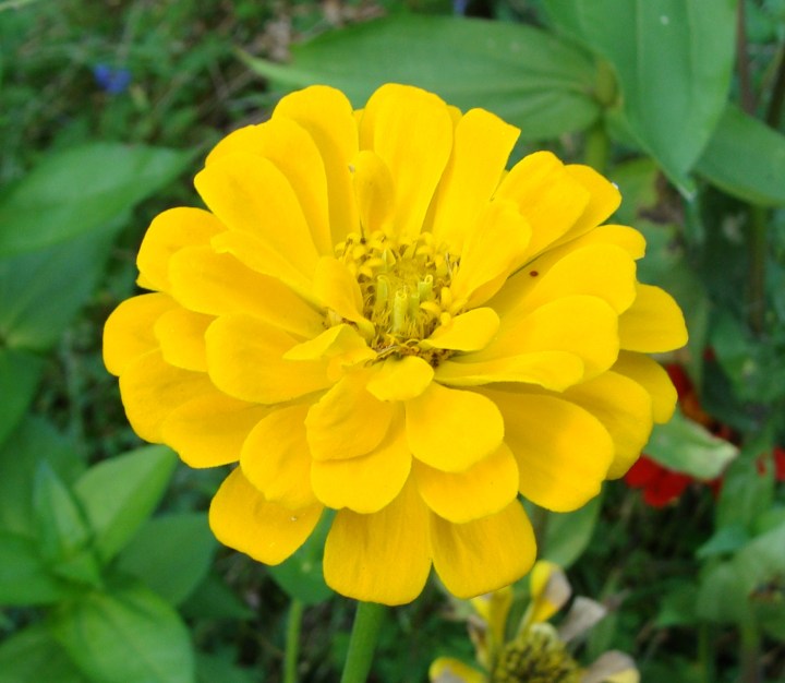 ???????????????????????????????