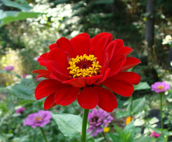 ???????????????????????????????