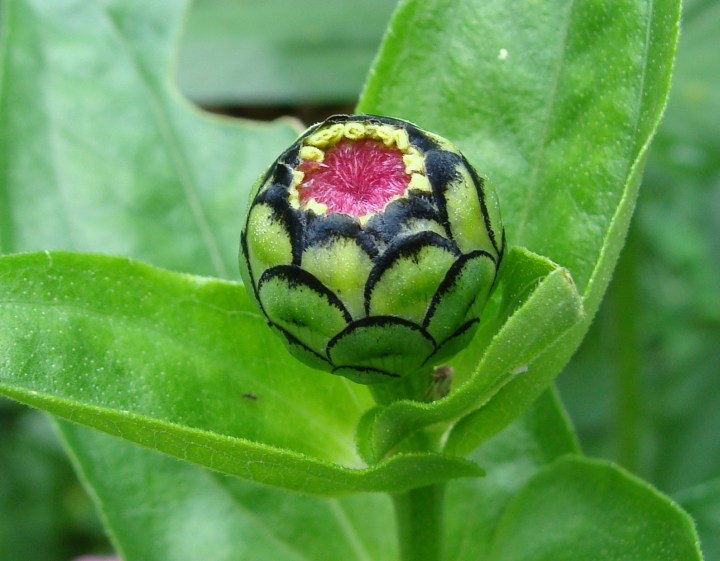 ???????????????????????????????