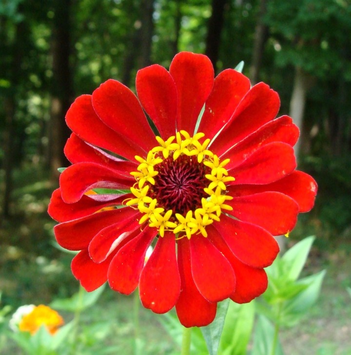 ???????????????????????????????