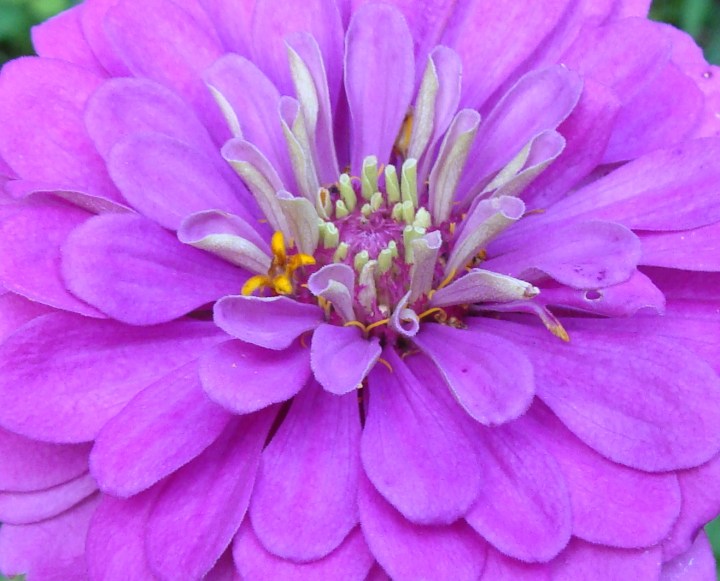 ???????????????????????????????