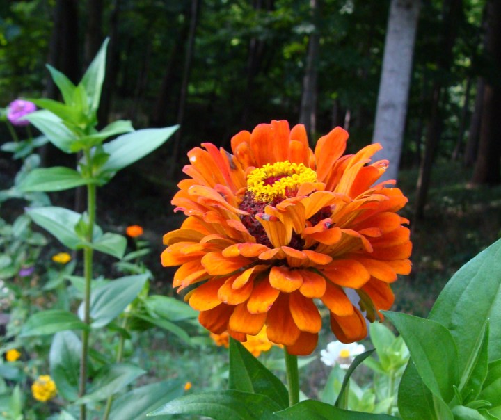 ???????????????????????????????