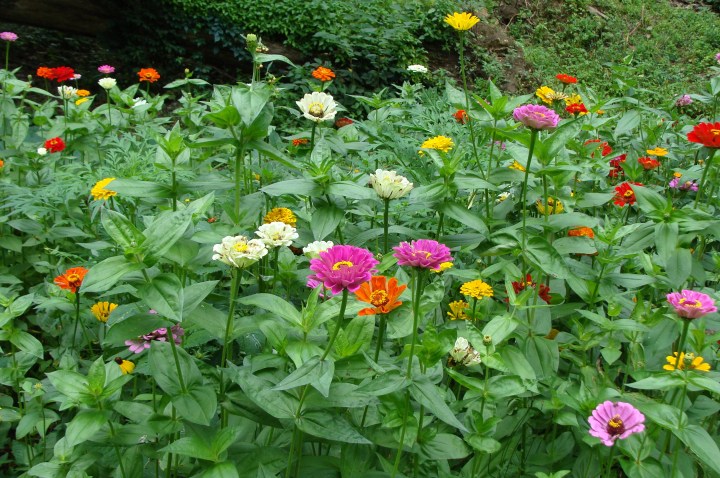 ???????????????????????????????