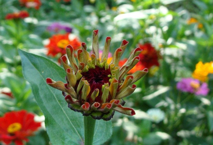 ???????????????????????????????