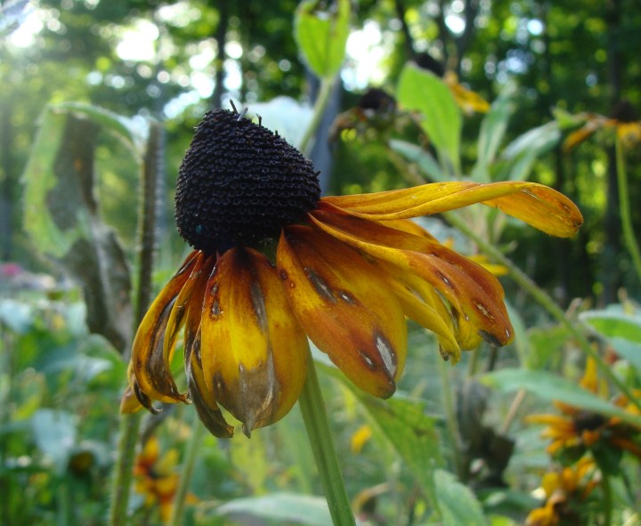 ???????????????????????????????