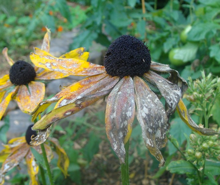 ???????????????????????????????