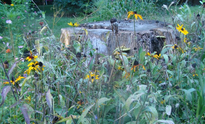 ???????????????????????????????