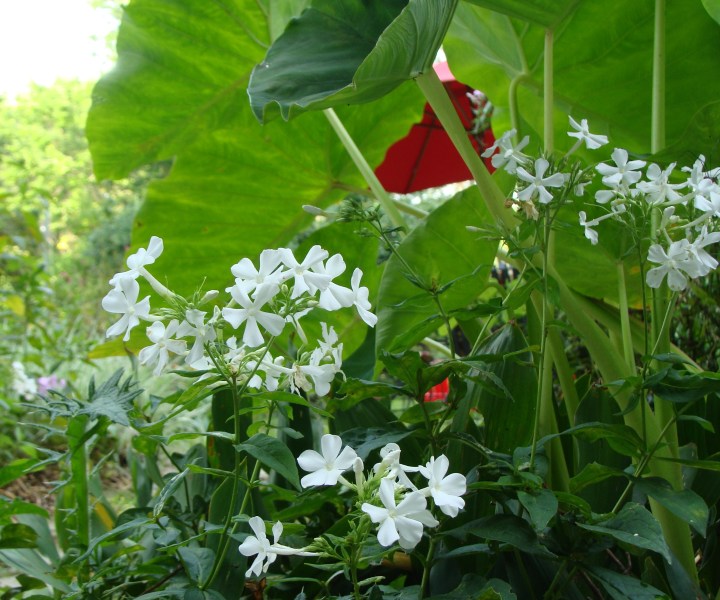 ???????????????????????????????