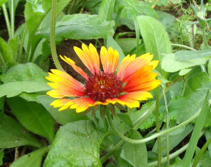 ???????????????????????????????