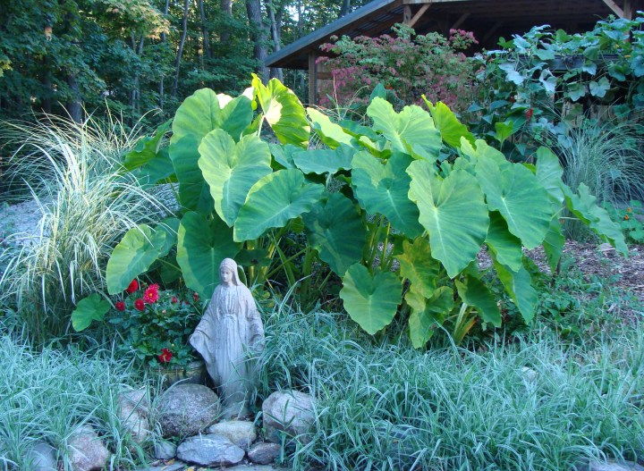 ???????????????????????????????