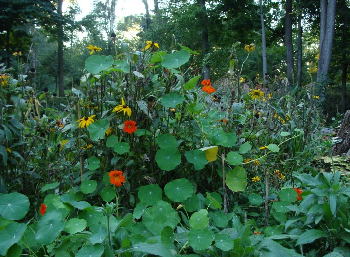 ???????????????????????????????