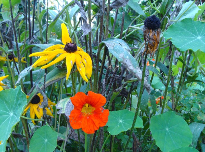 ???????????????????????????????