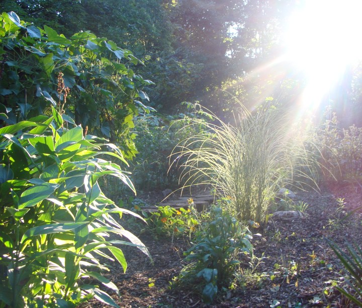 ???????????????????????????????