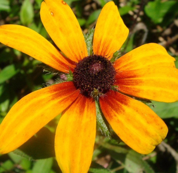 ???????????????????????????????