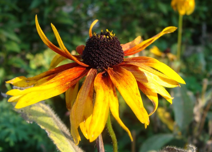 ???????????????????????????????