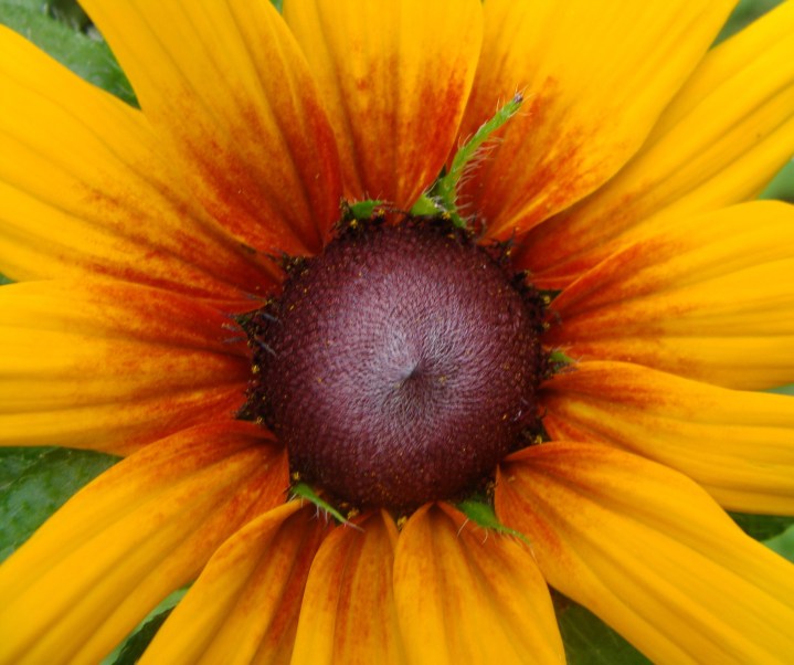 ???????????????????????????????