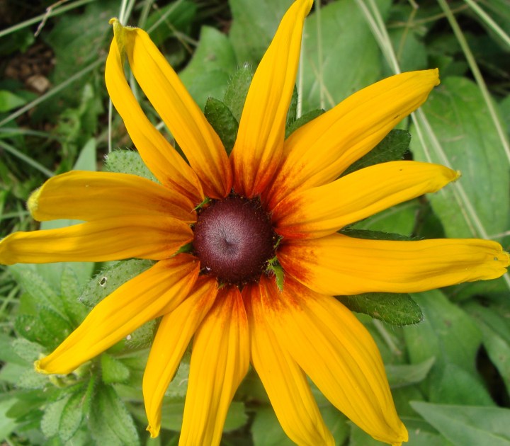 ???????????????????????????????