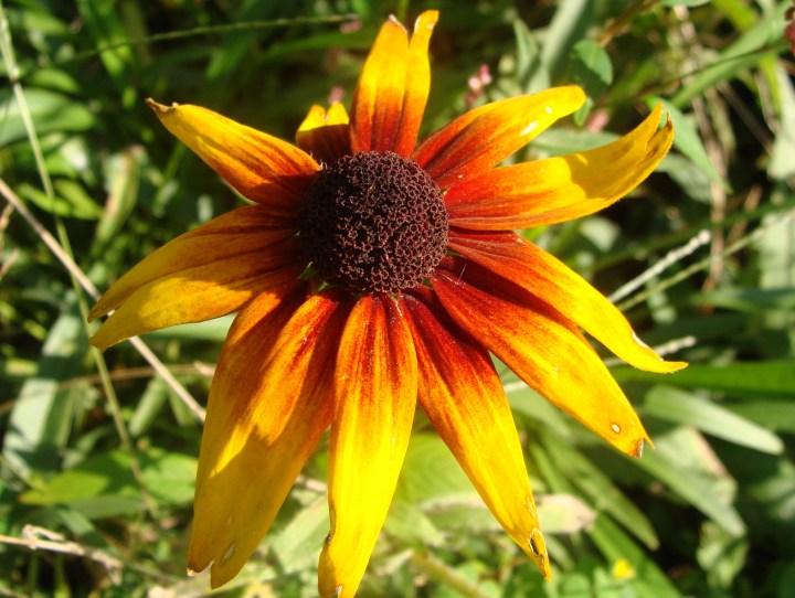 ???????????????????????????????