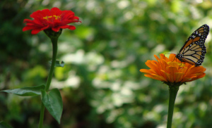 ???????????????????????????????