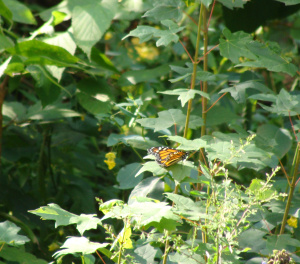 ???????????????????????????????