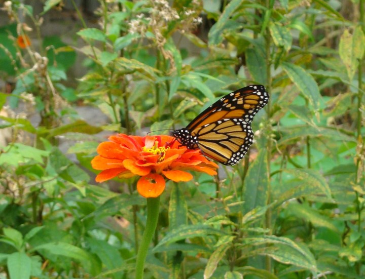 ???????????????????????????????