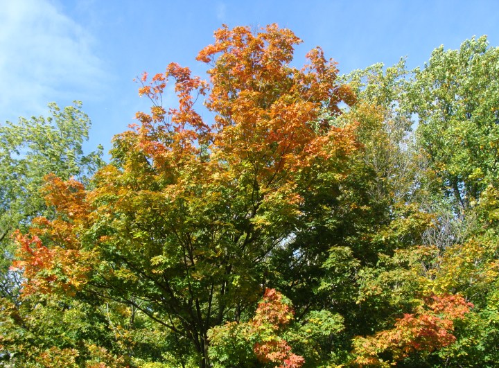 ???????????????????????????????