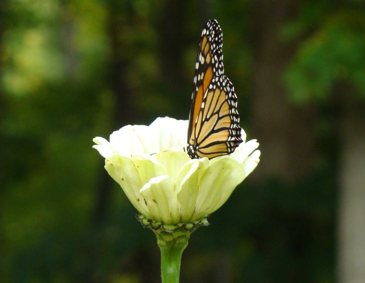 ???????????????????????????????