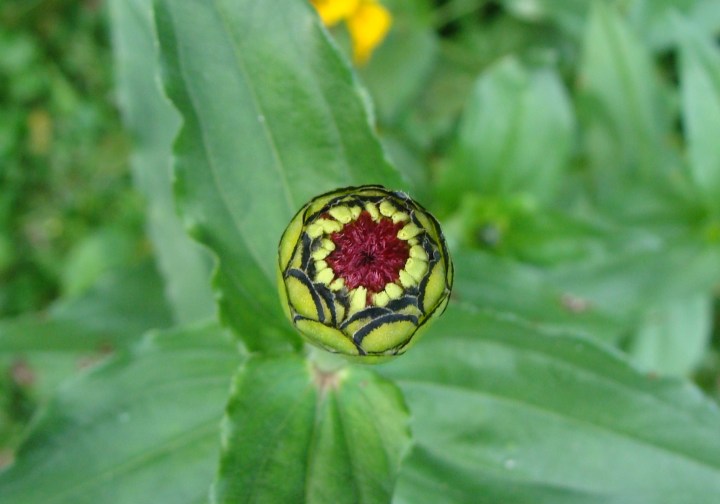 ???????????????????????????????