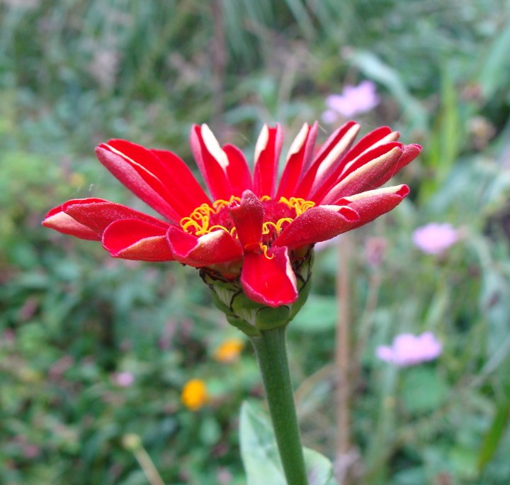 ???????????????????????????????