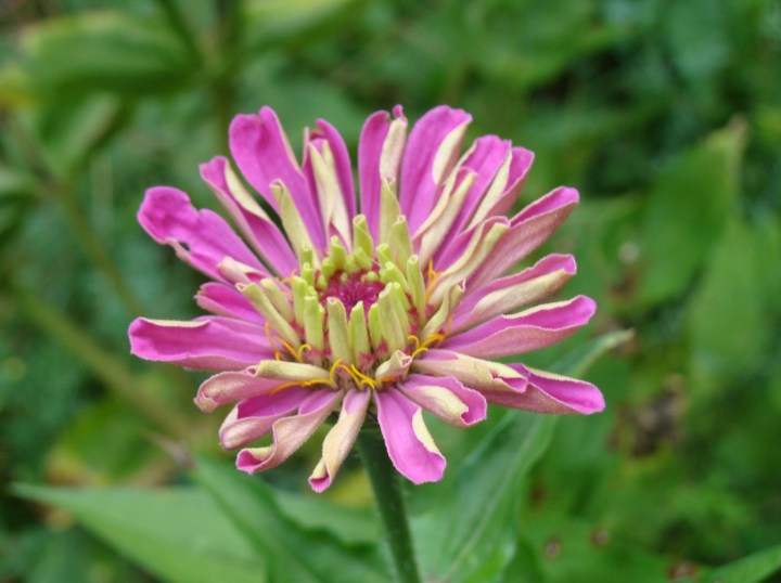 ???????????????????????????????