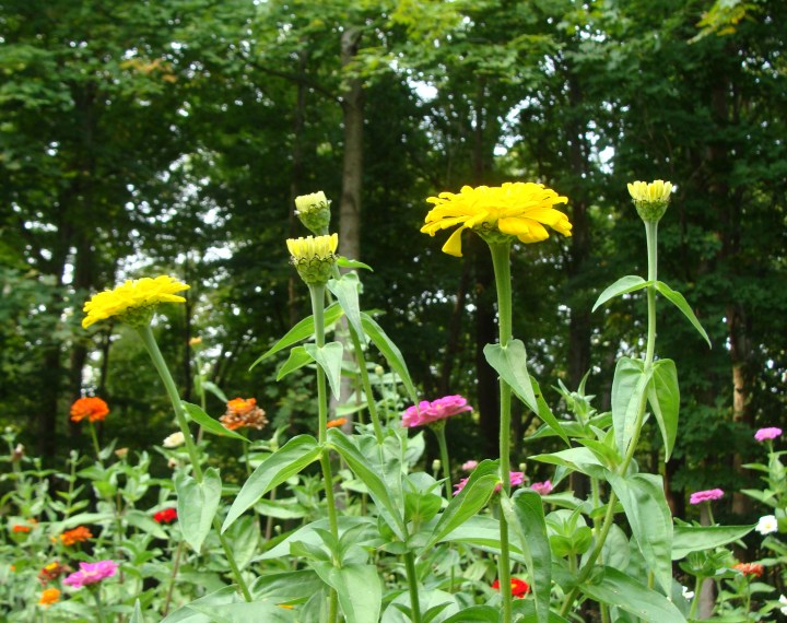 ???????????????????????????????