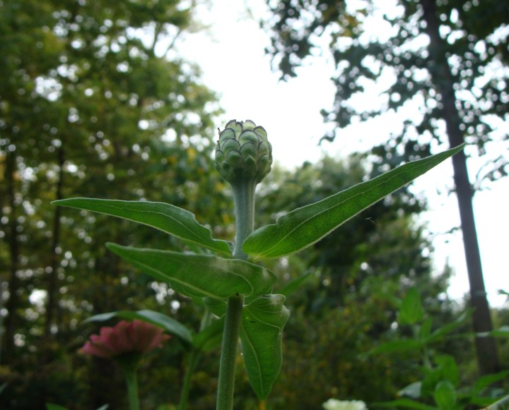 ???????????????????????????????