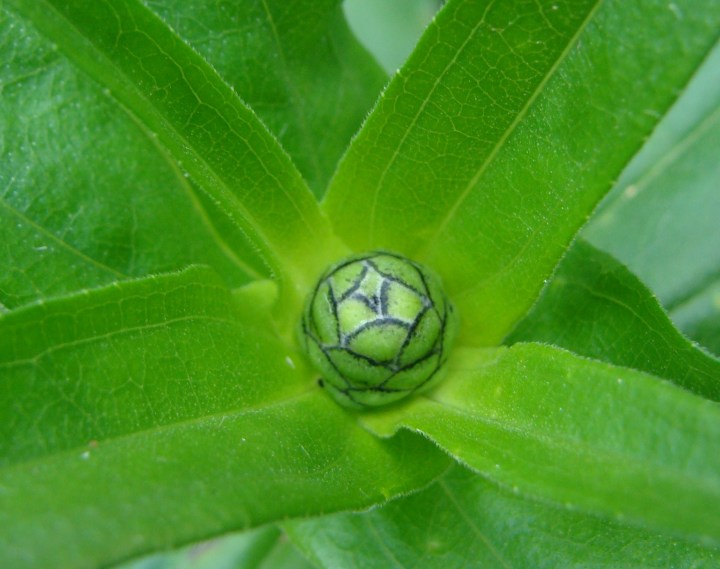 ???????????????????????????????