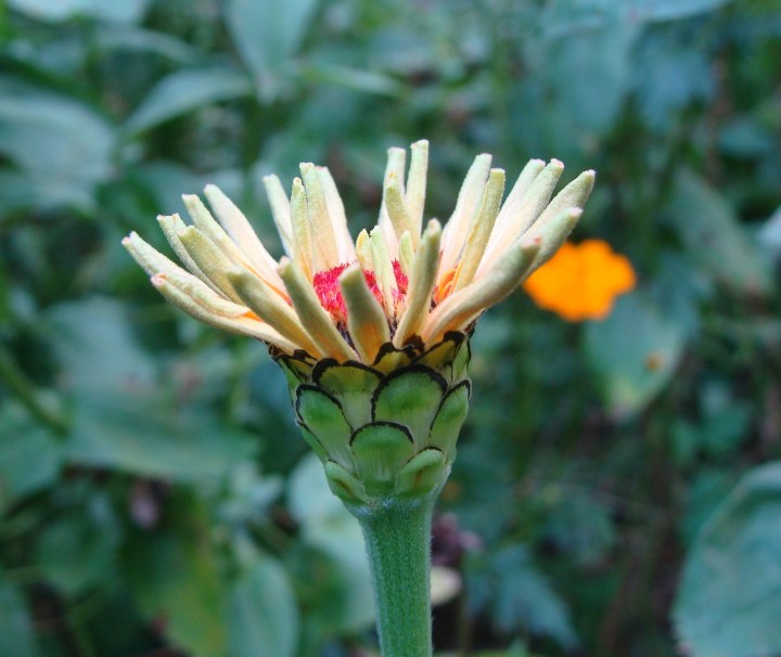 ???????????????????????????????