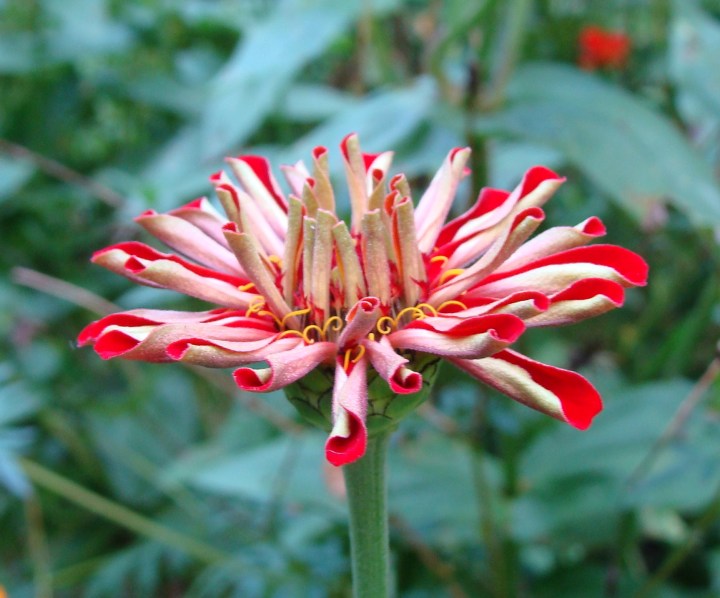 ???????????????????????????????