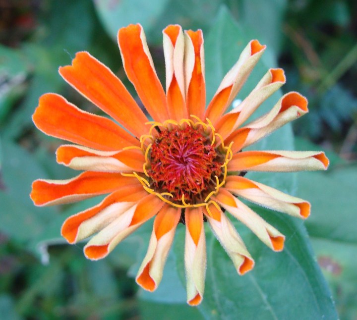 ???????????????????????????????