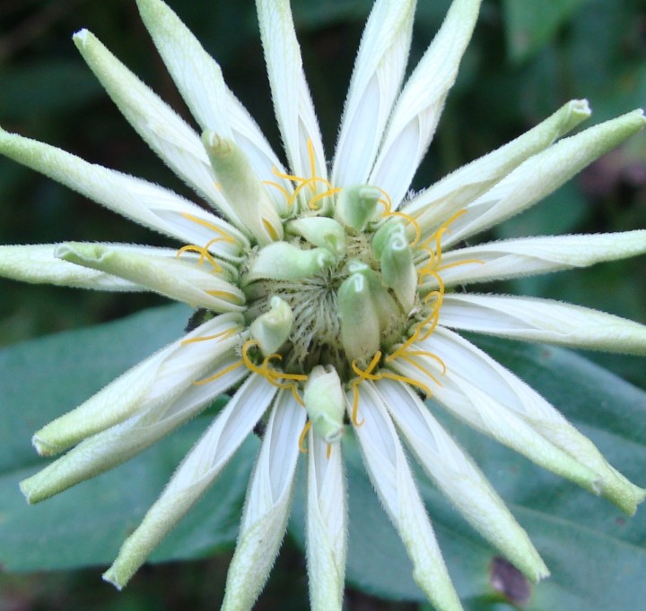 ???????????????????????????????