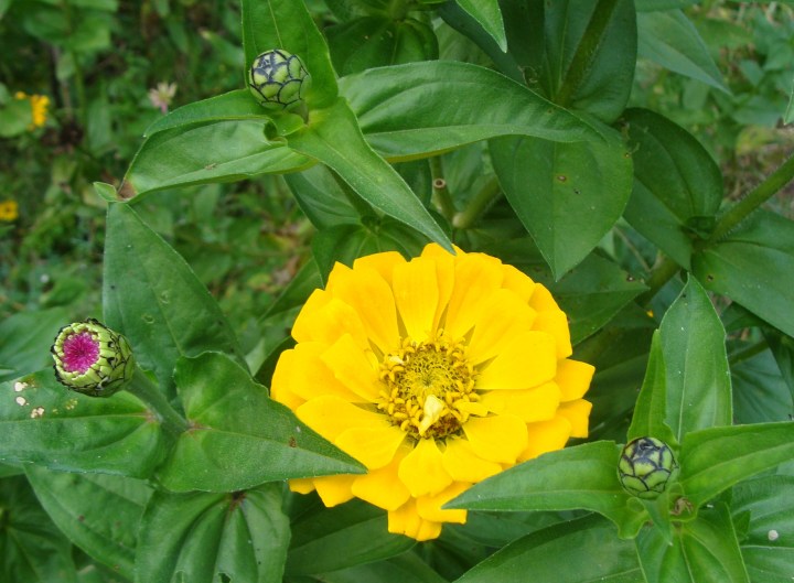 ???????????????????????????????