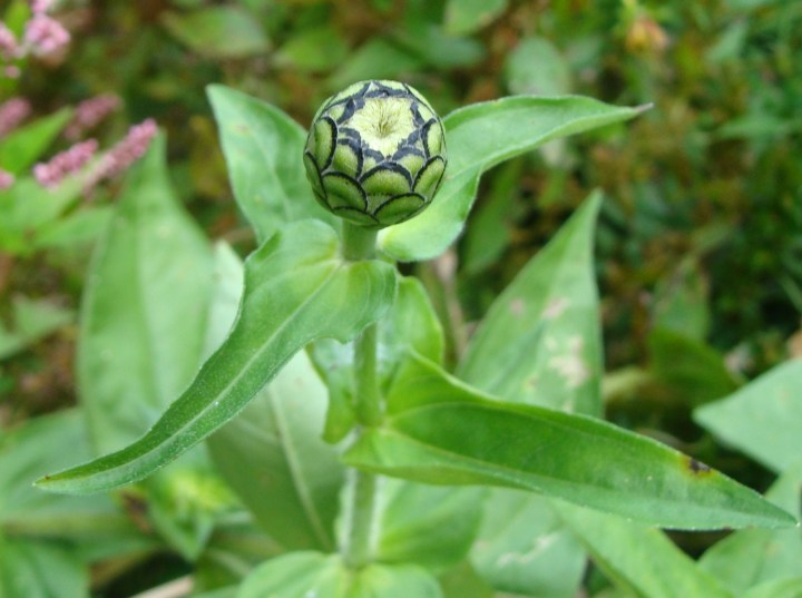 ???????????????????????????????