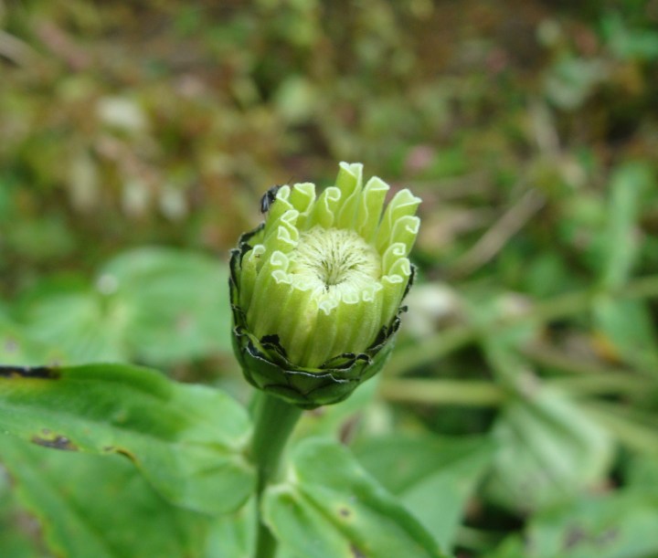 ???????????????????????????????